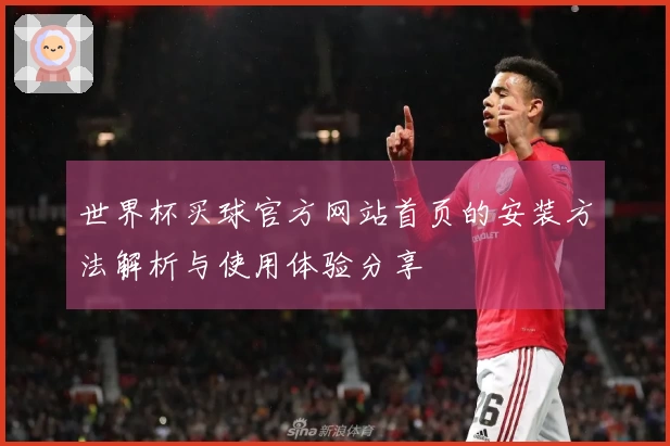 世界杯买球官方网站首页的安装方法解析与使用体验分享