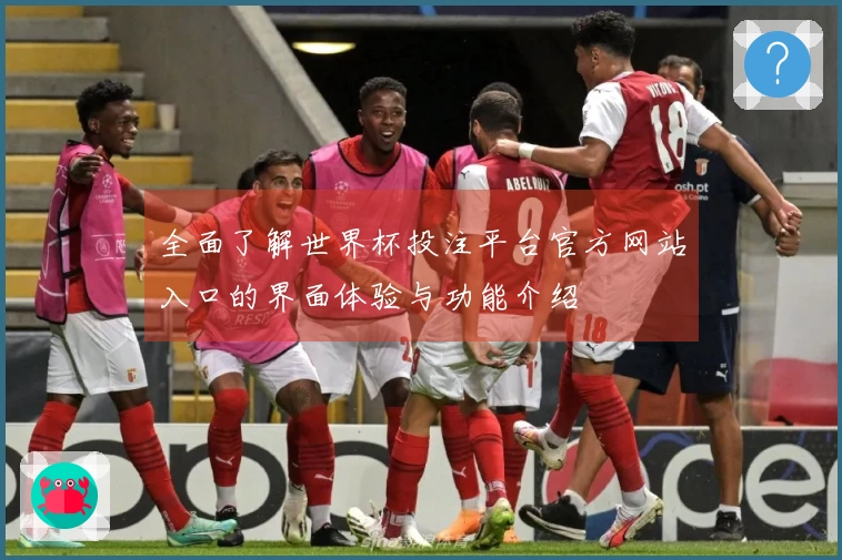 全面了解世界杯投注平台官方网站入口的界面体验与功能介绍
