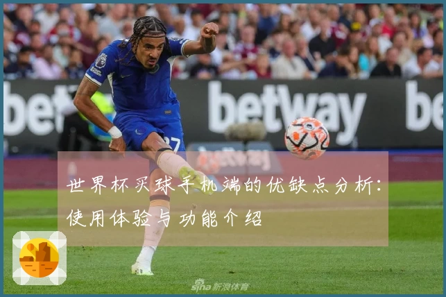世界杯买球手机端的优缺点分析：使用体验与功能介绍