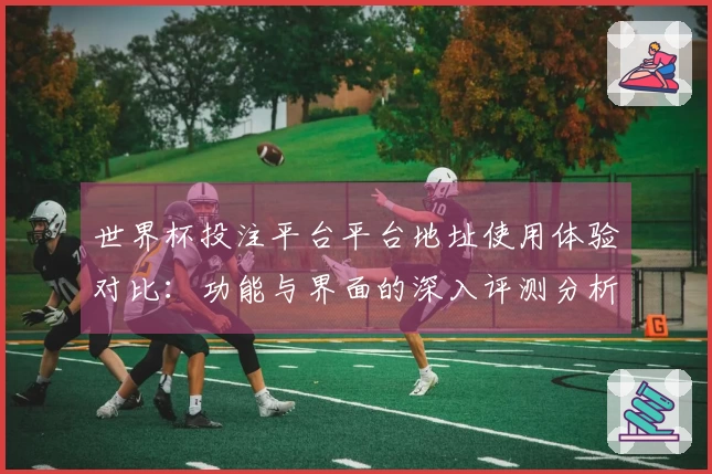 世界杯投注平台平台地址使用体验对比：功能与界面的深入评测分析