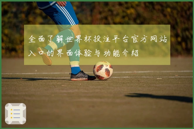 全面了解世界杯投注平台官方网站入口的界面体验与功能介绍