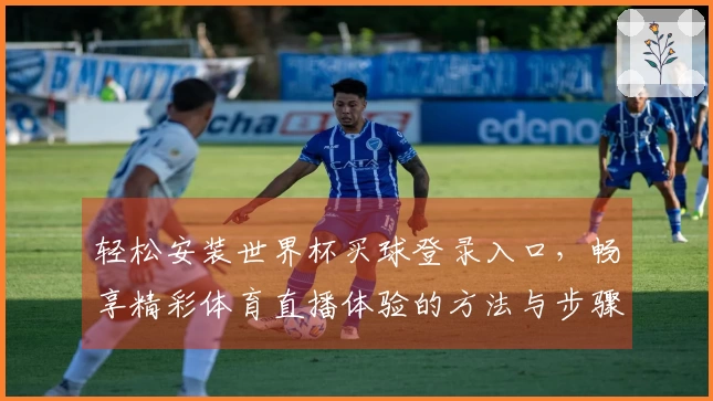 轻松安装世界杯买球登录入口,畅享精彩体育直播体验的方法与步骤