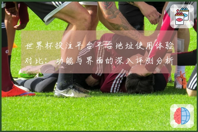 世界杯投注平台平台地址使用体验对比：功能与界面的深入评测分析